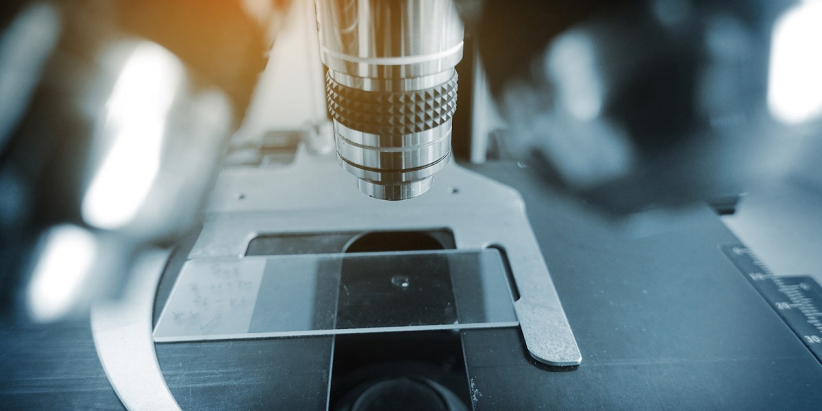 Als Bioinformatiker hast du gute Karrierechancen im Ausland Als Bioinformatiker beobachtest und interpretierst du biologische Strukturen