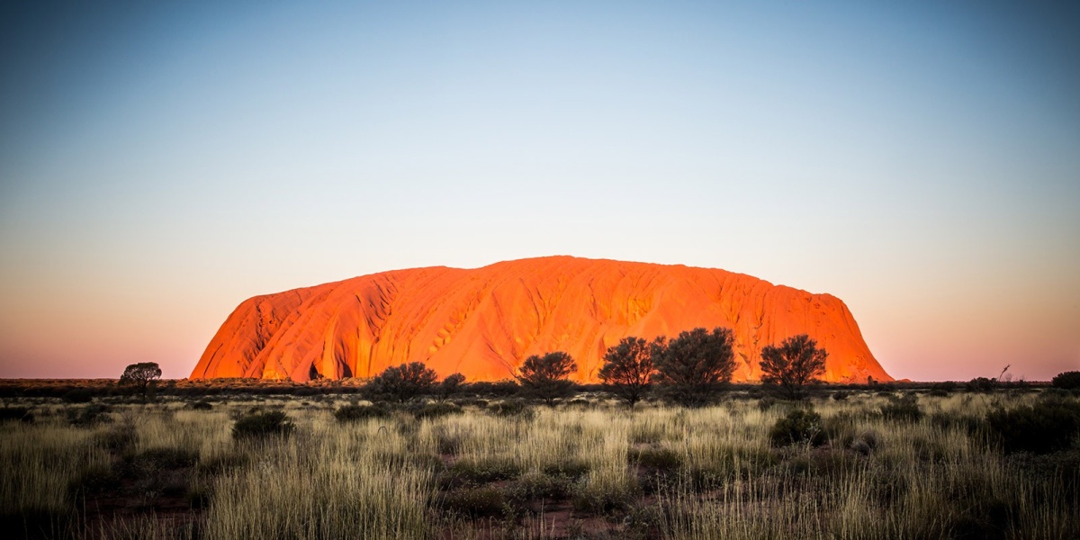 Mit einem Praktikum in Australien kannst Du bei späteren Arbeitgebern punkten